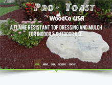 Tablet Screenshot of pro-toast.com